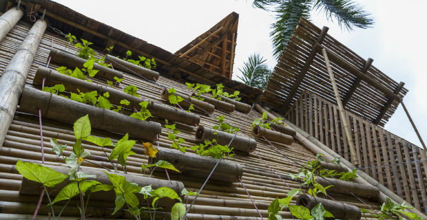 costruire-casa-bambu-e