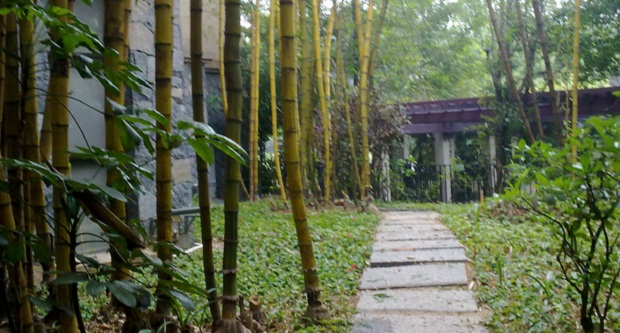 Pausa di relax fra due sessioni nel giardino di bambù annesso al centro congressi di Guangzhou.