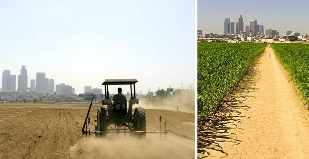 land-art-mais-los-angeles-d