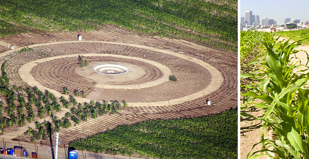 land-art-mais-los-angeles-f