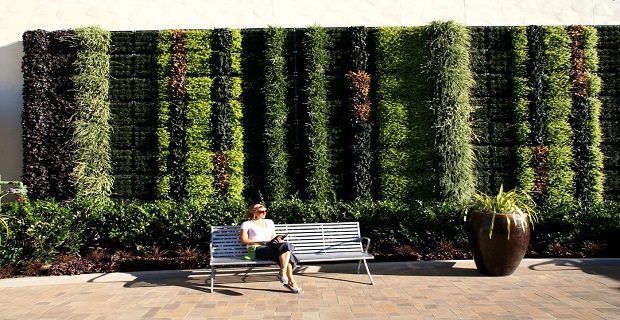 Fashion Valley Mall Living Wall, San Diego, 2012.