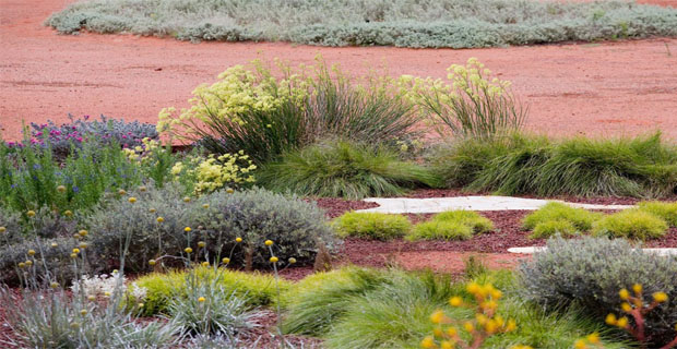 paesaggio-giardino-australiano-c