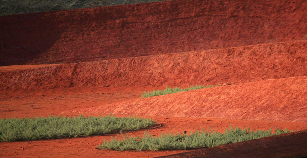 paesaggio-giardino-australiano-e