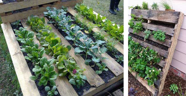 Come creare un orto e una panca per esterni con i pallet Come progettare un orto