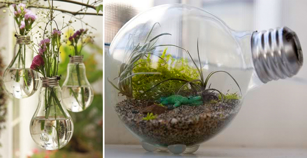 riciclo lampadine realizzare un mini terrario