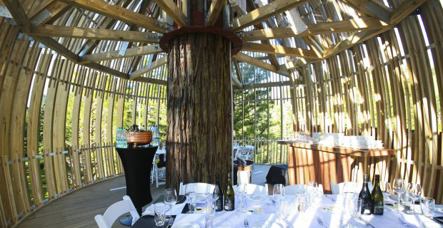 ristorante-treehouse-bozzolo-f