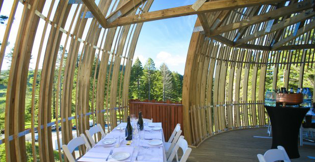 ristorante-treehouse-bozzolo-g