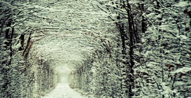 tunnel-verde-ucraina-c