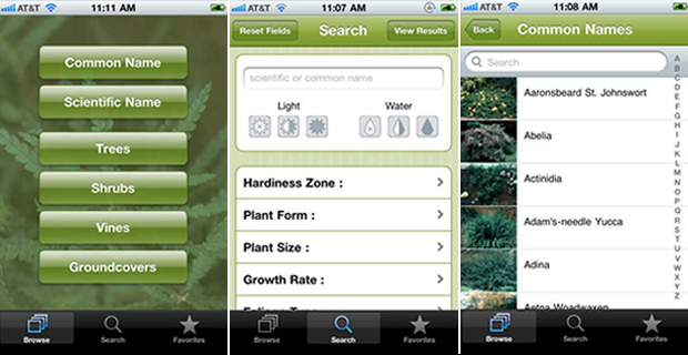 App che aiuta a riconoscere alberi ed arbusti