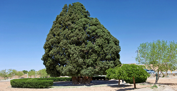 Abarqu, provincia di Yazd, Iran.