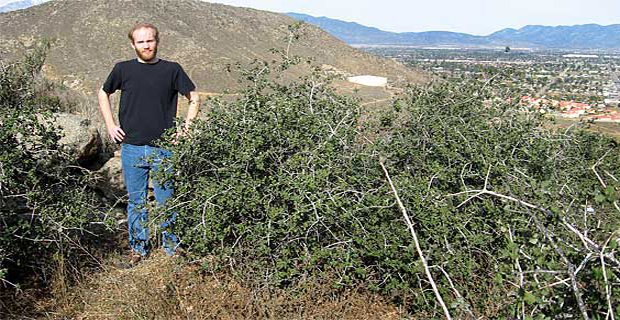 Contea di Riverside, California, Stati Uniti