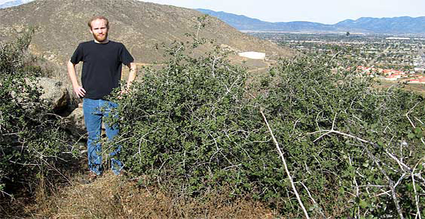 Contea di Riverside, California, Stati Uniti