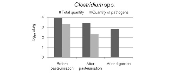 biogas-botulismo-chiarezza-Quantità di batteri del genere Clostridium nel letame, valori medi di due impianti di biogas, misurati prima e dopo la pastorizzazione, e successivamente alla digestione anerobica. Si osserva che i Clostridum patogeni sono assenti nel digestato. (cfu/g = colony forming units, una misura della quantità di cellule vive in un campione).