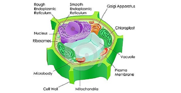 biologia-architettura-h