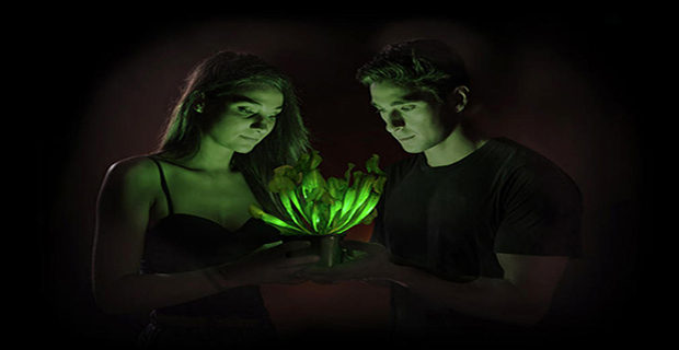bioluminescenza-luce-piante-a
