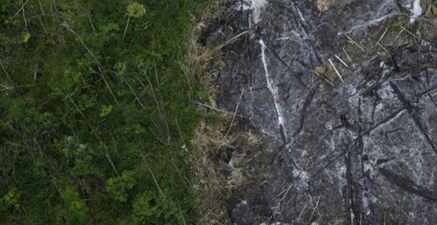 deforestazione-amazzonia-a