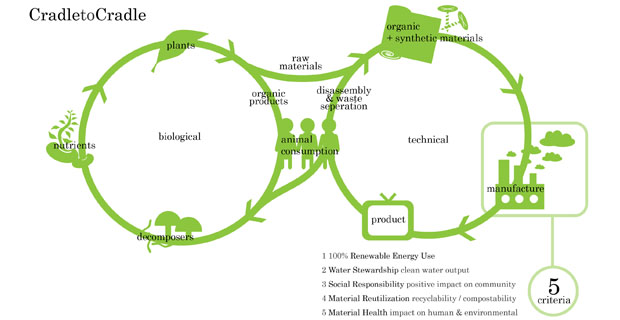 ideazione-progetto-biomimetica-b