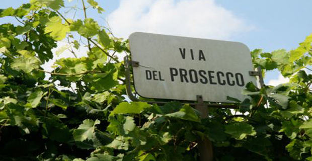 paesaggio-prosecco-h