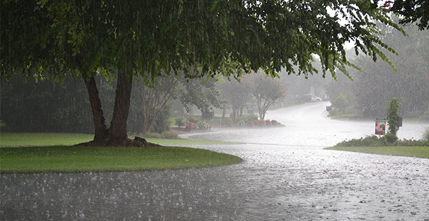 Il diverso comportamento di una superficie impermeabile e dei rain gardens durante una pioggia