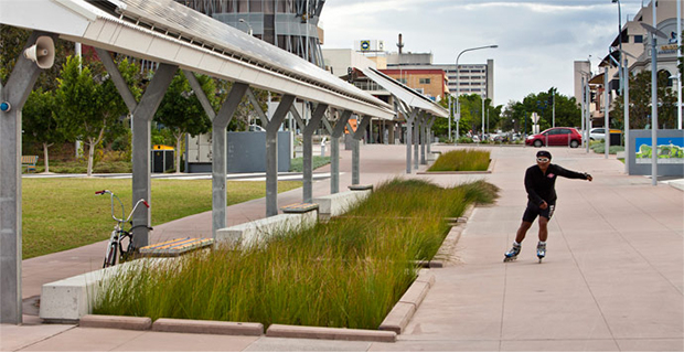 Rain gardens in Australia