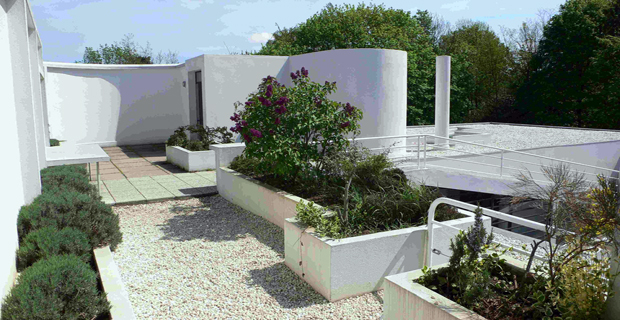 caption:Giardino pensile di Villa Savoye, LeCorbusier