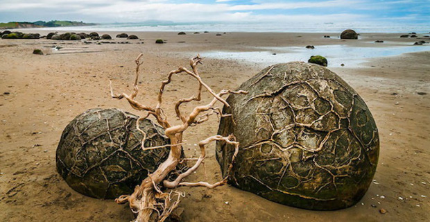 La spiaggia di Koekohe in Nuova Zelanda