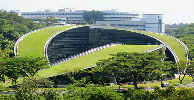 tetto-verde-singapore-a