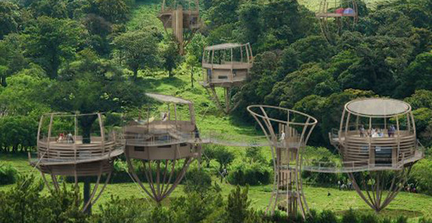 tree-house-libro-b