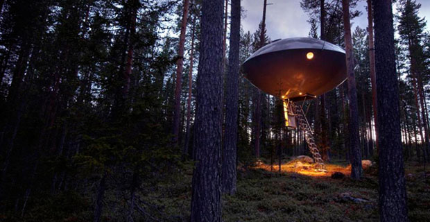 tree-house-libro-f