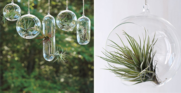 Giardini sospesi. 5 idee originali per arredare con il verde Lampade Appese idee