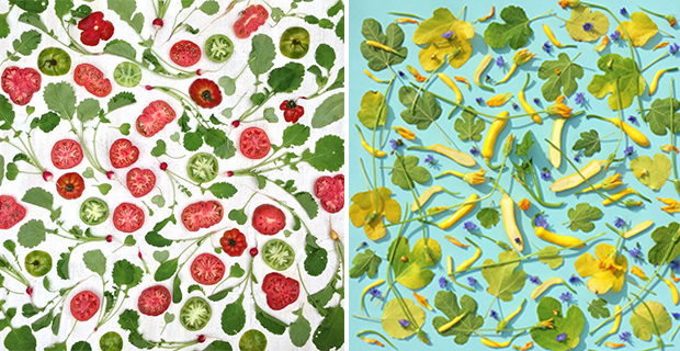 arte-vegetale-d