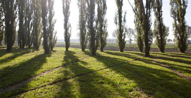 Foto di Jordi Huisman