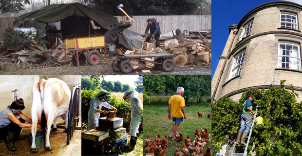 cohousing-uk-d