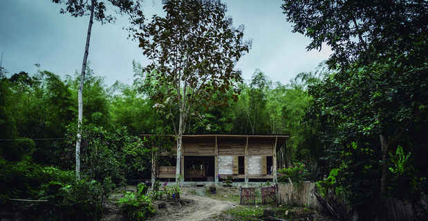 convento-house-bamboo-b