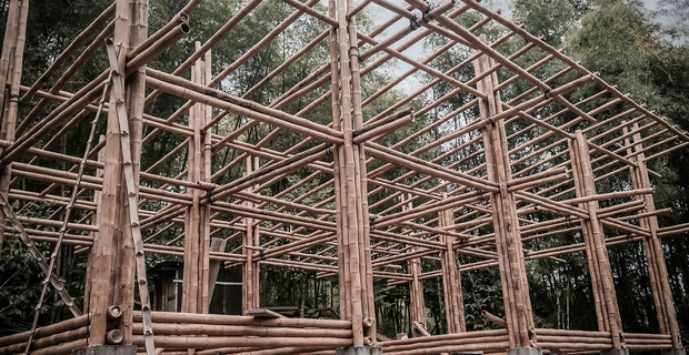 convento-house-bamboo-c