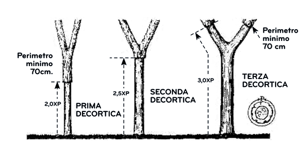 origine-distribuzione-sughero-d