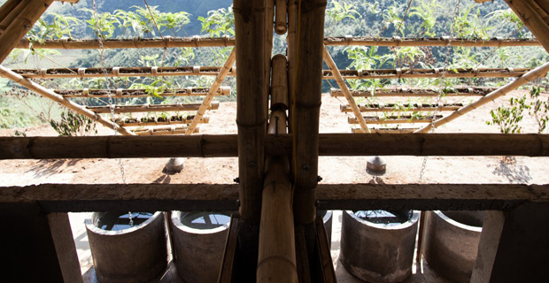 toigetation-bambu-hanoi-p