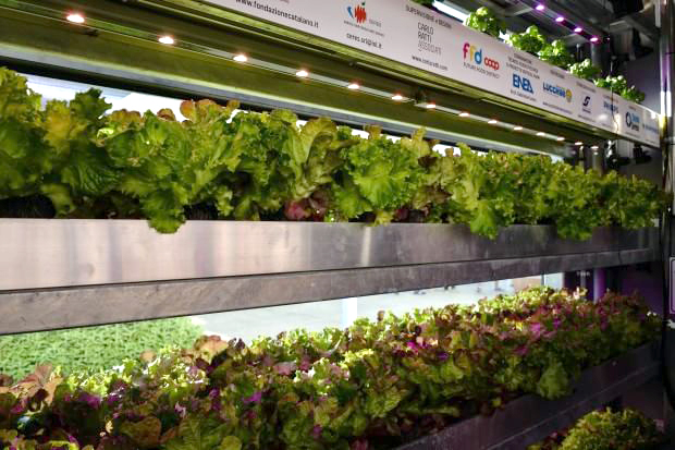 vertical-farm-expo-b