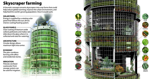 Vertical farm: metodi di coltivazione verticale
