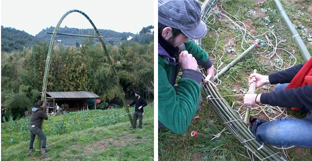  Foto di Gaia Granelli.