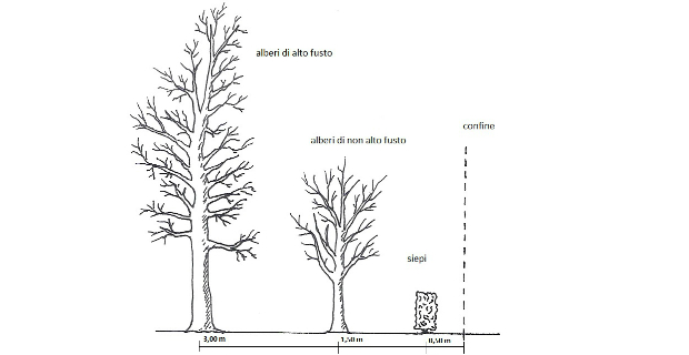 legislazione-distanze-alberi-b