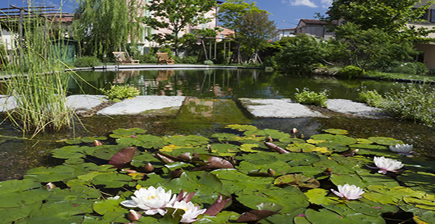 biolago-piscine-naturali-b