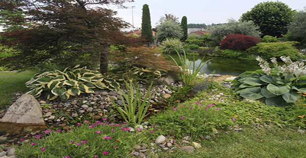 biolago-piscine-naturali-e