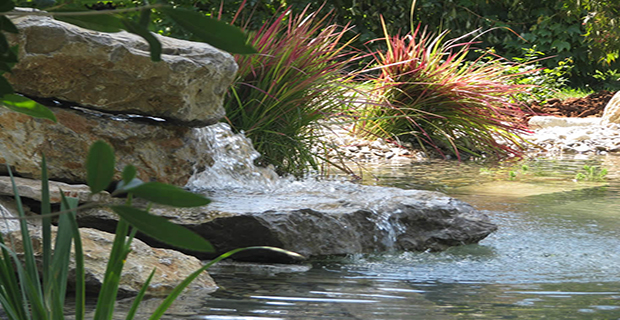 biolago-piscine-naturali-f