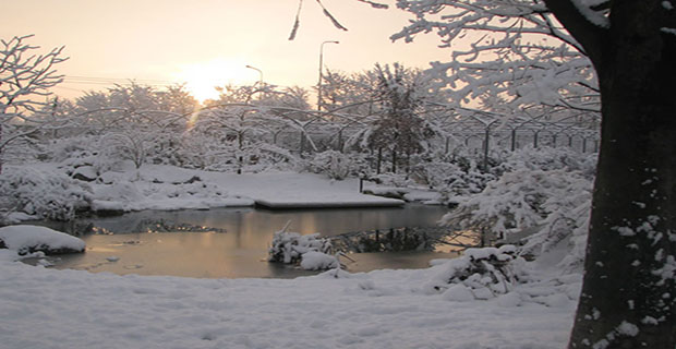 biolago-piscine-naturali-i