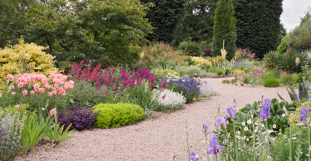 Come realizzare un giardino senzacqua: dry gardens Realizzare un giardino