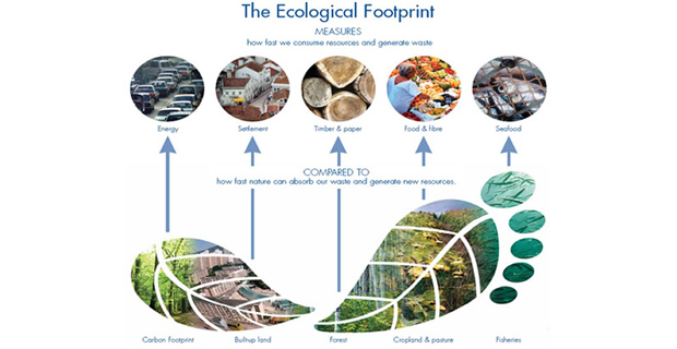 emirati-arabi-orma-ecologica-a