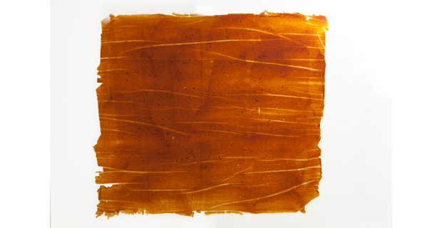 Dagli scarti della frutta un nuovo materiale: fruit leather Nuovi materiali da costruzione