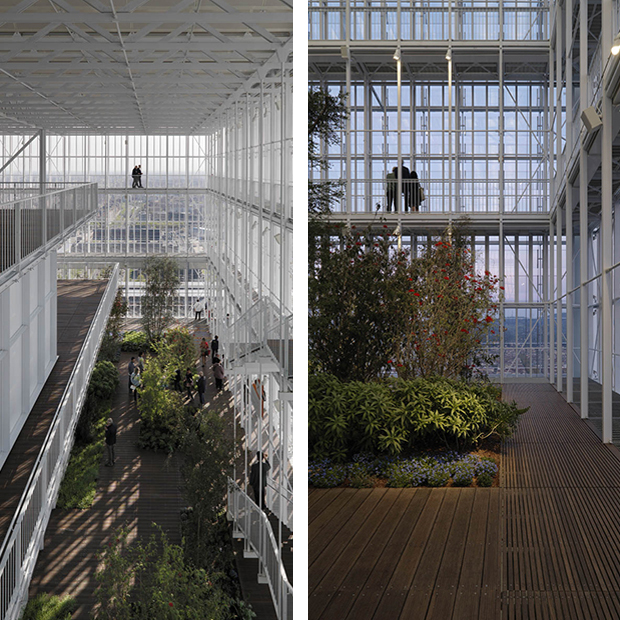 Serra bioclimatica nel grattacielo Intesa Sanpaolo di Renzo Piano, Ph. Enrico Cano