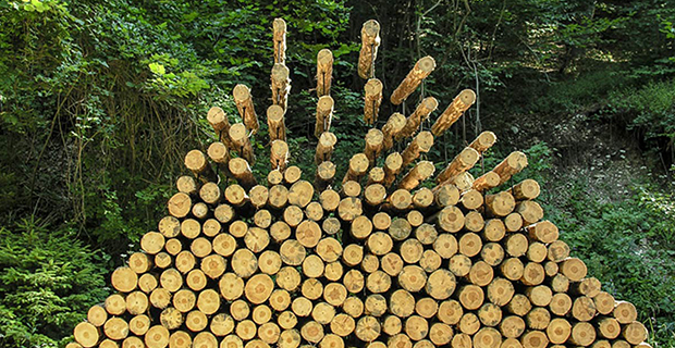  Piled forest, 2006 © Cornelia Konrads